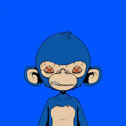 Timmy #2851