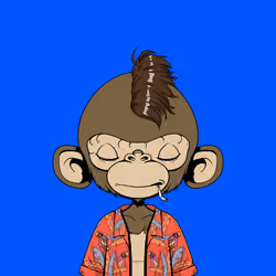 Timmy #1494