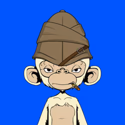 Timmy #2943