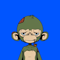 Timmy #3254