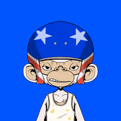 Timmy #2237