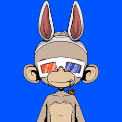 Timmy #2384