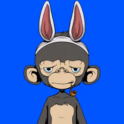 Timmy #2632