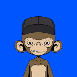 Timmy #513