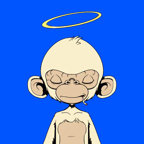 Timmy #1260