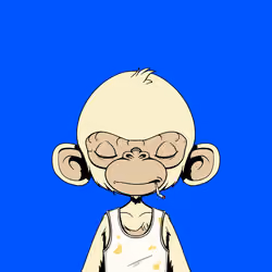 Timmy #1404