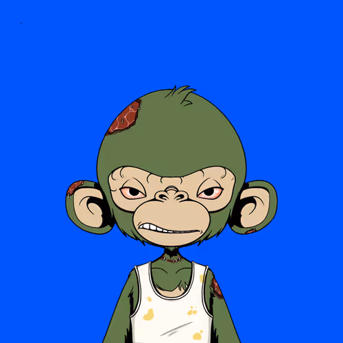 Timmy #3305