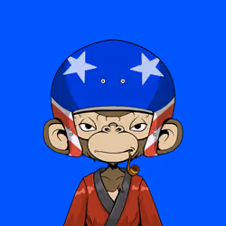 Timmy #528