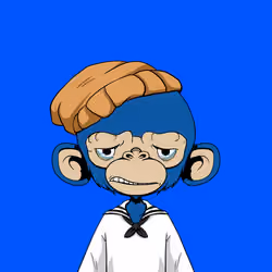 Timmy #1416