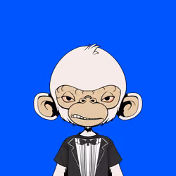 Timmy #162