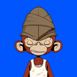 Timmy #1335