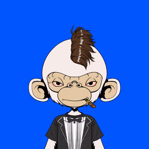 Timmy #1358