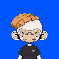 Timmy #1237