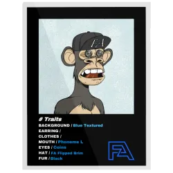 FA Editions #1998