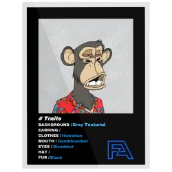 FA Editions #159