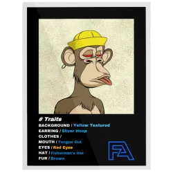 FA Editions #6773
