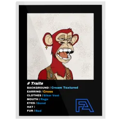 FA Editions #1111