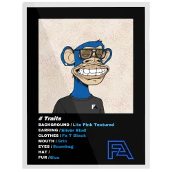 FA Editions #617