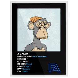 FA Editions #1141
