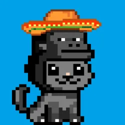 TINY APE HATS KITTIES #43