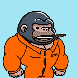 113