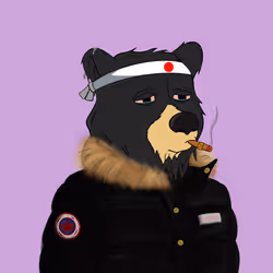 Bud Bear #227