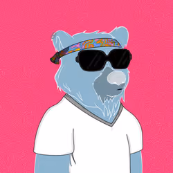 Bud Bear #715