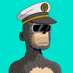 y00ts Yacht Club#8465