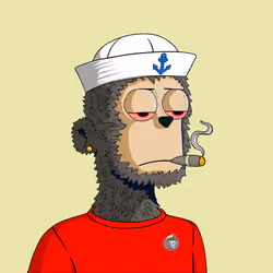 y00ts Yacht Club#6408