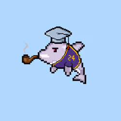 Sudo Dolphin #262