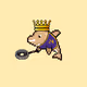 Sudo Dolphin #1011