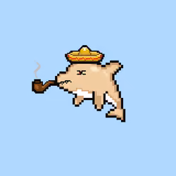 Sudo Dolphin #134