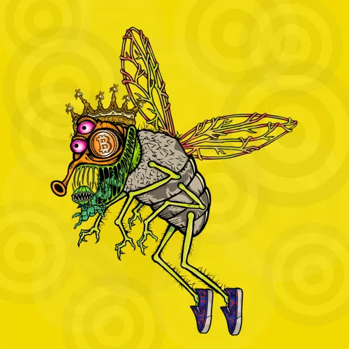 Funky Flies on Ape #9588