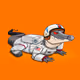 TokenGator #2038