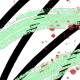 443