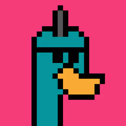 64