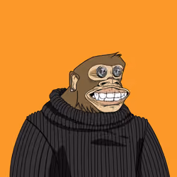 #43