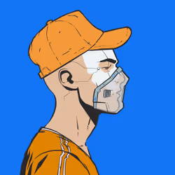 DR/VR #266