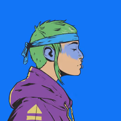 DR/VR #480