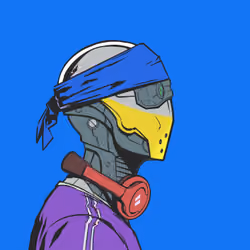 DR/VR #531