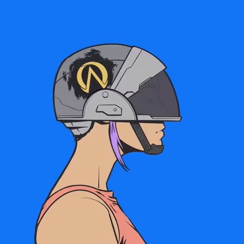 DR/VR #1391
