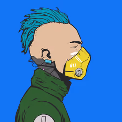 DR/VR #587