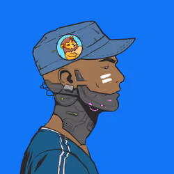 DR/VR #733