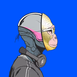 DR/VR #555