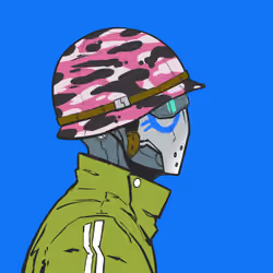 DR/VR #1083