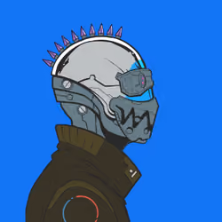 DR/VR #2562