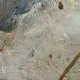 250