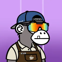 2054