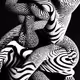 97
