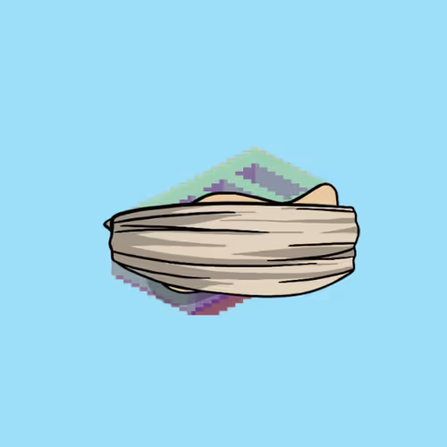 Item #326 Media